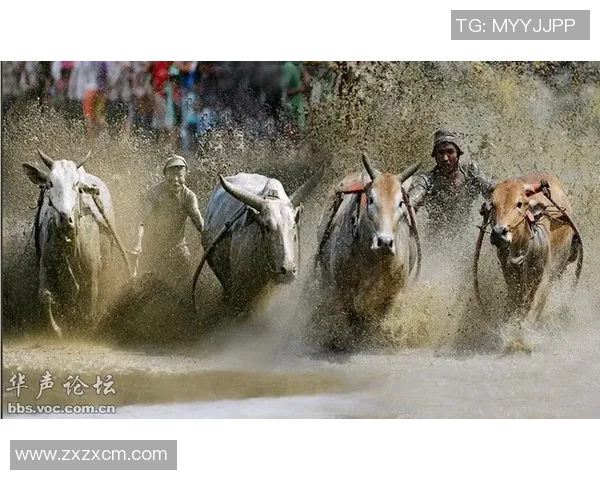 印尼军队与塞曼巴东的较量揭示东南亚安全局势新动态